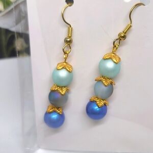 🆕️ Ombre Blue Earrings A1